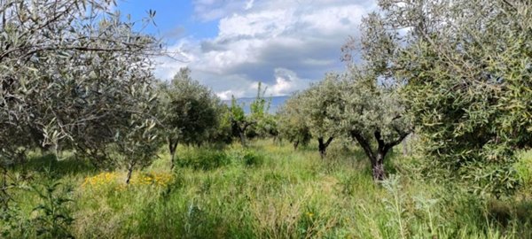 terreno in vendita a Lamezia Terme in zona Magolà
