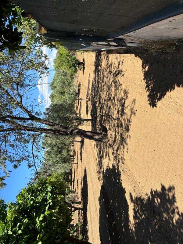 casa indipendente in vendita ad Ardore