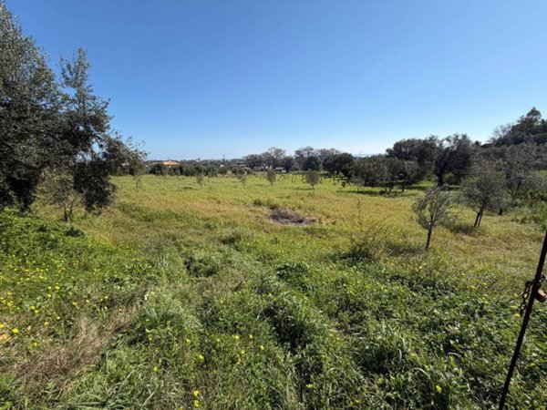 terreno agricolo in vendita ad Ardore
