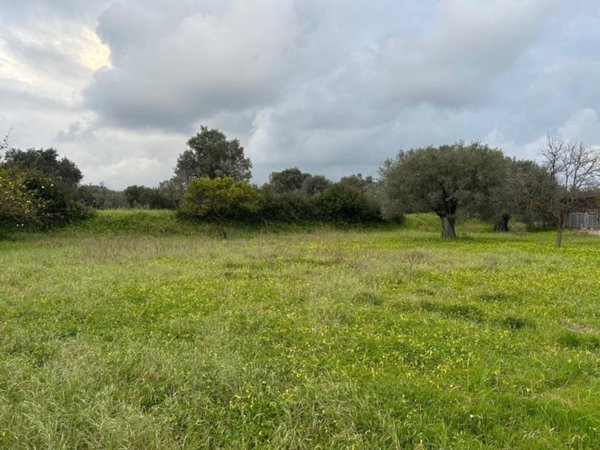 terreno agricolo in vendita ad Ardore