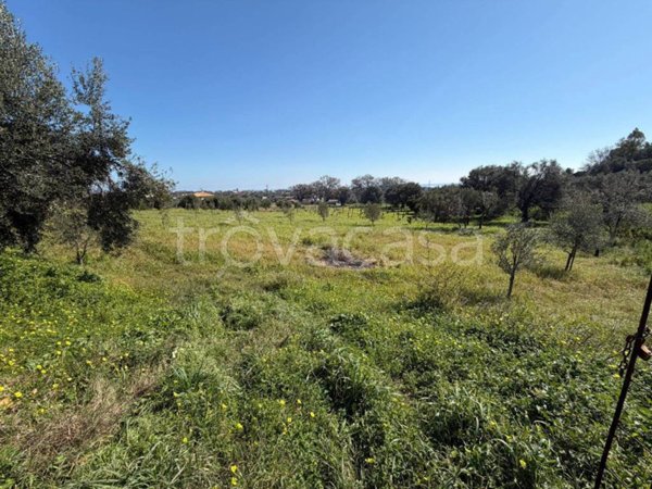 terreno in vendita ad Ardore