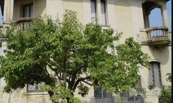 casa indipendente in vendita a Bagnara Calabra in zona Pellegrina