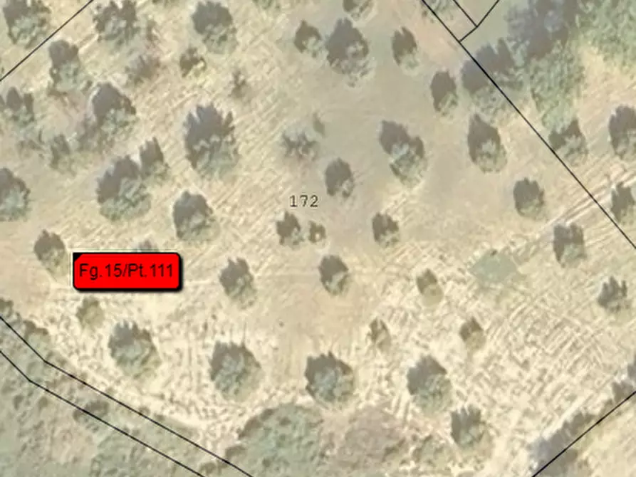 mansarda in vendita a Benestare