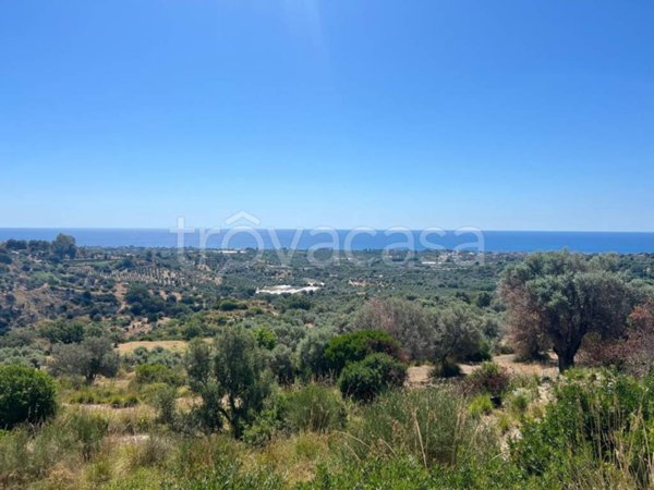 terreno agricolo in vendita a Benestare