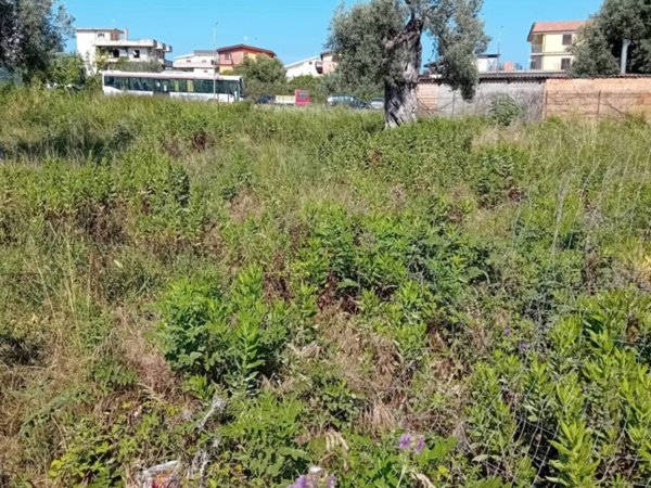 terreno agricolo in vendita a Bianco