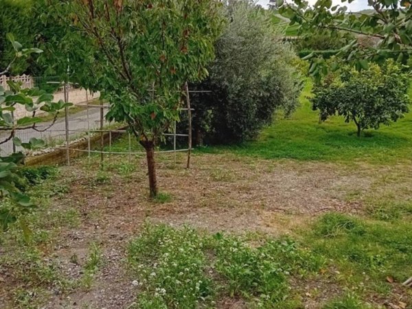 terreno agricolo in vendita a Bianco