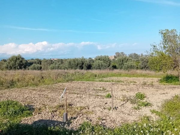 terreno agricolo in vendita a Bianco