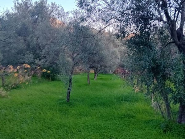 terreno agricolo in vendita a Bianco