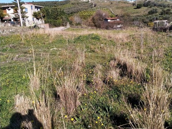 terreno agricolo in vendita a Bianco