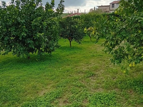 terreno agricolo in vendita a Bianco
