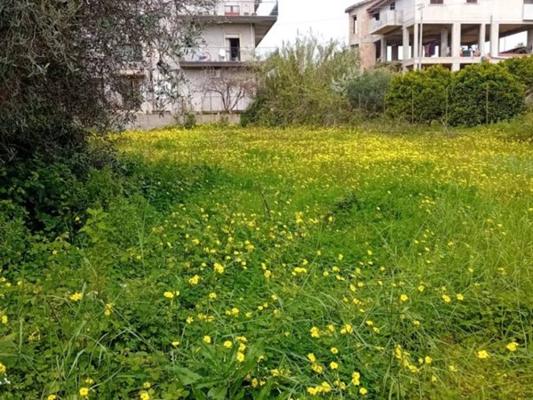 terreno agricolo in vendita a Bovalino