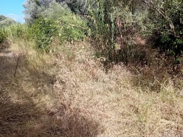 terreno agricolo in vendita a Bovalino in zona Bosco Sant'Ippolito