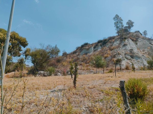 terreno agricolo in vendita a Bova Marina