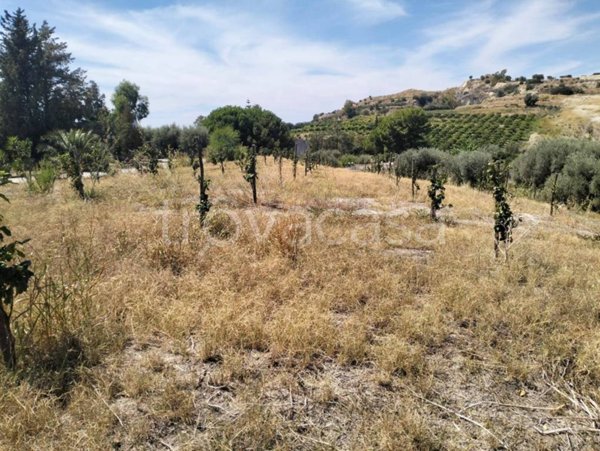 terreno agricolo in vendita a Bova Marina