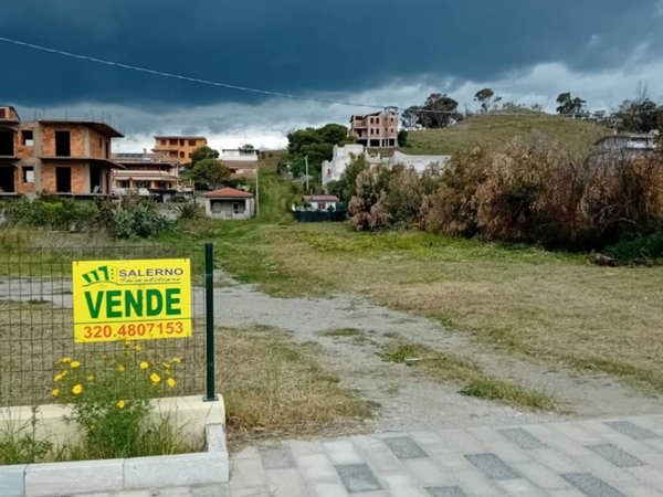 terreno agricolo in vendita a Bruzzano Zeffirio
