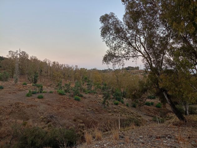 terreno agricolo in vendita a Bruzzano Zeffirio