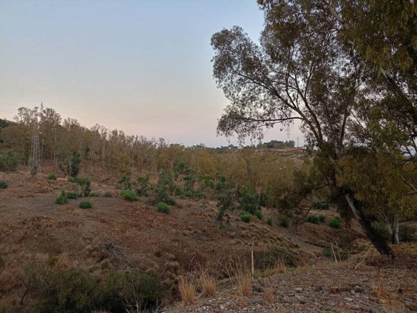 terreno agricolo in vendita a Bruzzano Zeffirio