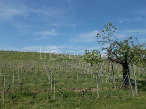 terreno agricolo in vendita ad Agliano Terme in zona Agliano