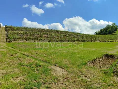 terreno agricolo in vendita ad Agliano Terme