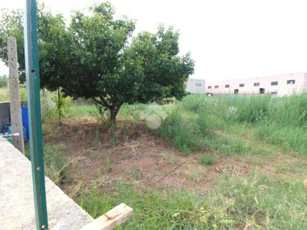terreno agricolo in vendita a Campo Calabro