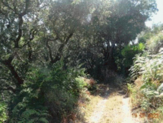 terreno agricolo in vendita a Campo Calabro