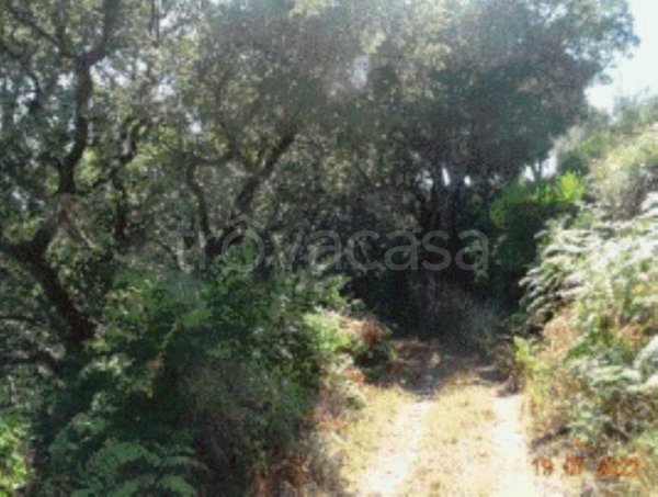 terreno agricolo in vendita a Campo Calabro