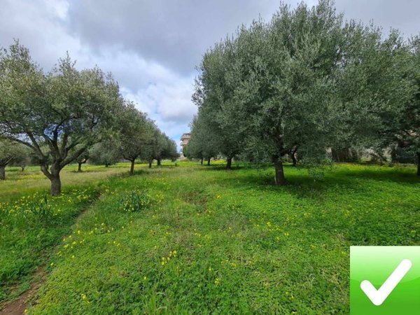 terreno agricolo in vendita a Campo Calabro