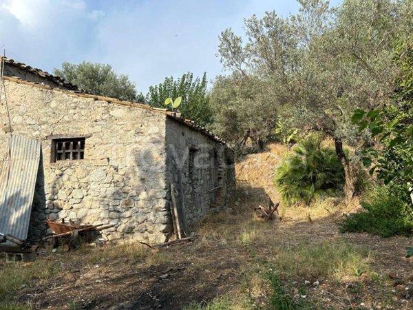 terreno agricolo in vendita a Caulonia