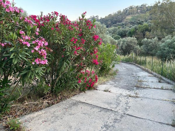 casa indipendente in vendita a Caulonia