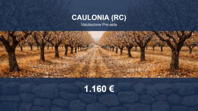 casa indipendente in vendita a Caulonia
