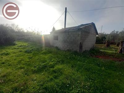 terreno agricolo in vendita a Cinquefrondi