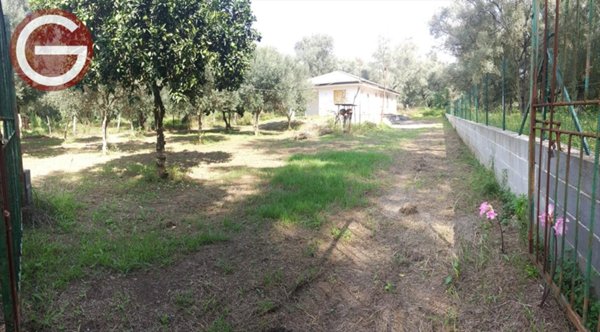 casa indipendente in vendita a Cittanova