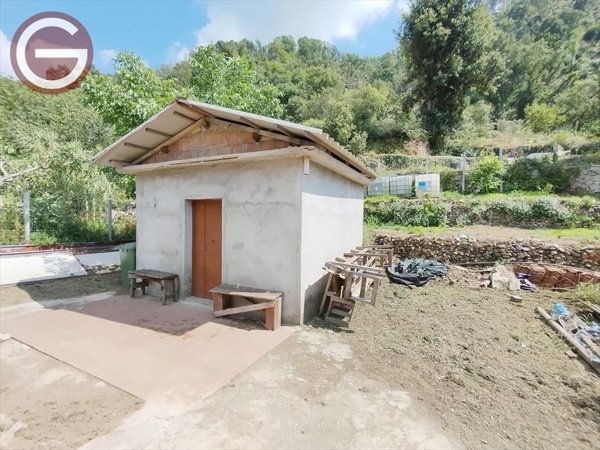 terreno agricolo in vendita a Cittanova