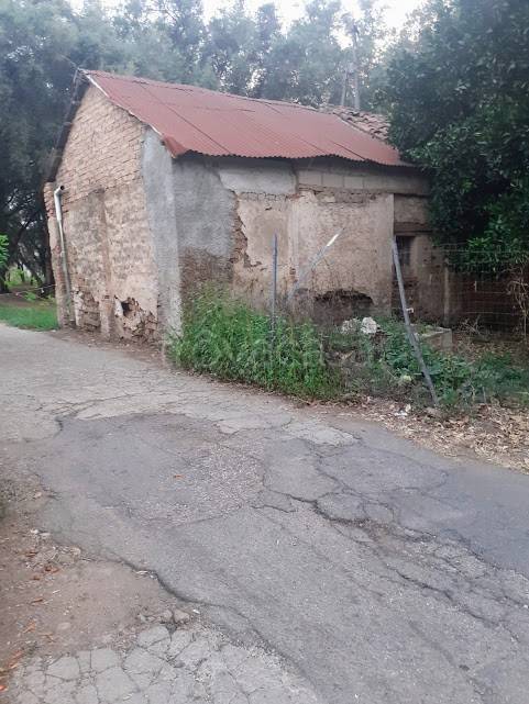 terreno agricolo in vendita a Cittanova
