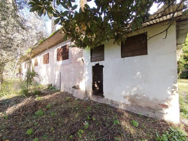 casa indipendente in vendita a Cittanova