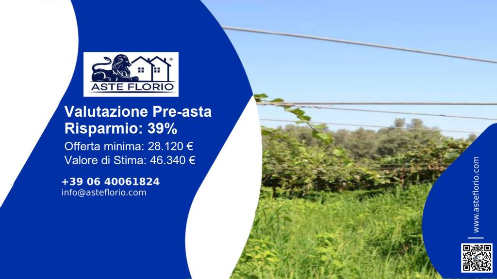 terreno agricolo in vendita a Cittanova