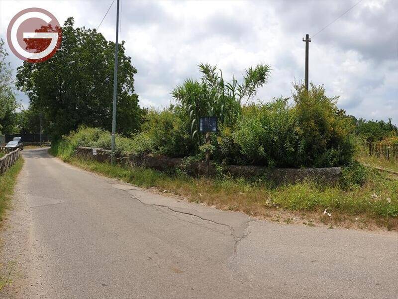 terreno agricolo in vendita a Cittanova