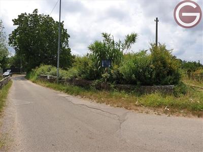 terreno agricolo in vendita a Cittanova