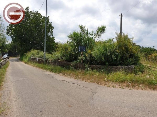 terreno agricolo in vendita a Cittanova