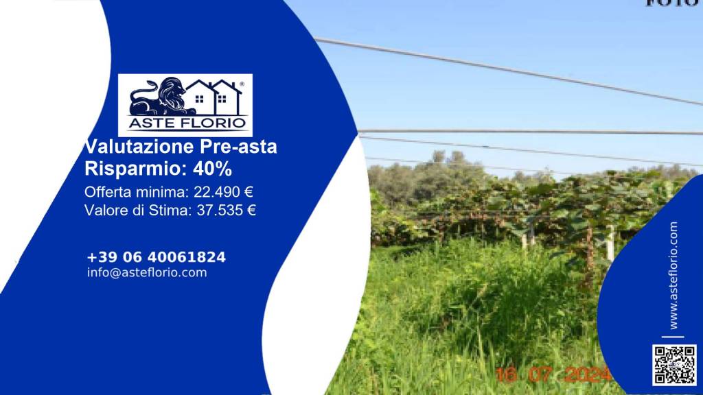 terreno agricolo in vendita a Cittanova