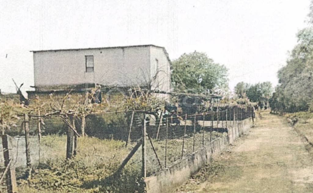 appartamento in vendita a Cittanova