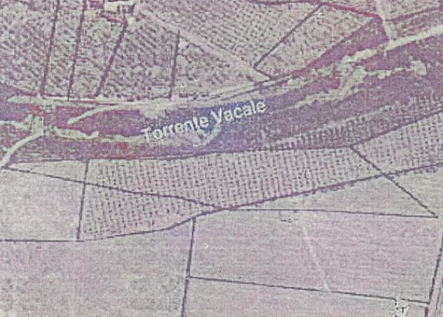terreno agricolo in vendita a Cittanova