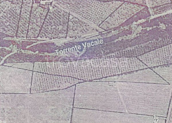 terreno agricolo in vendita a Cittanova