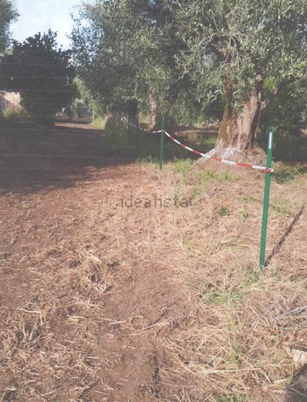 casa indipendente in vendita a Cittanova