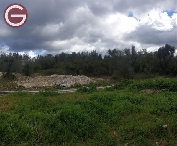 terreno agricolo in vendita a Cittanova