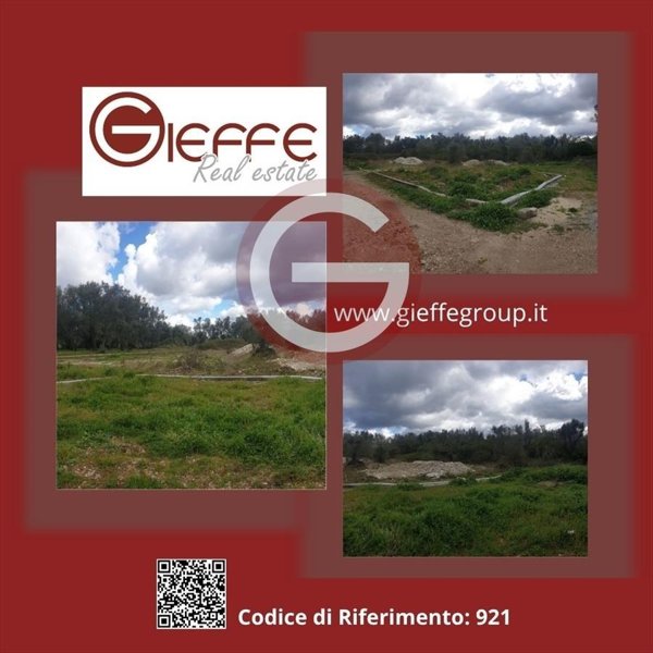 terreno in vendita a Cittanova