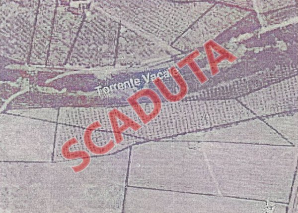 terreno agricolo in vendita a Cittanova