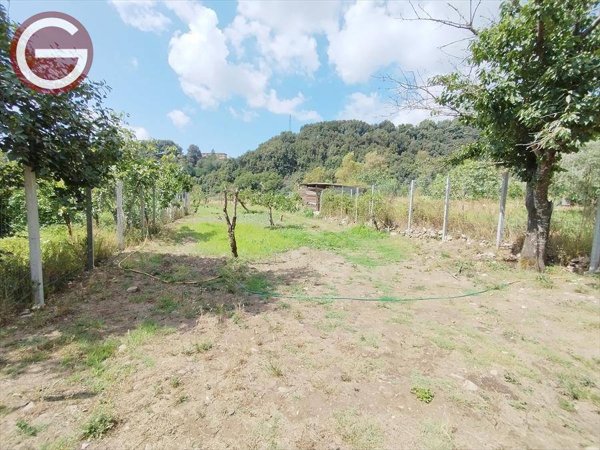 terreno agricolo in vendita a Cittanova