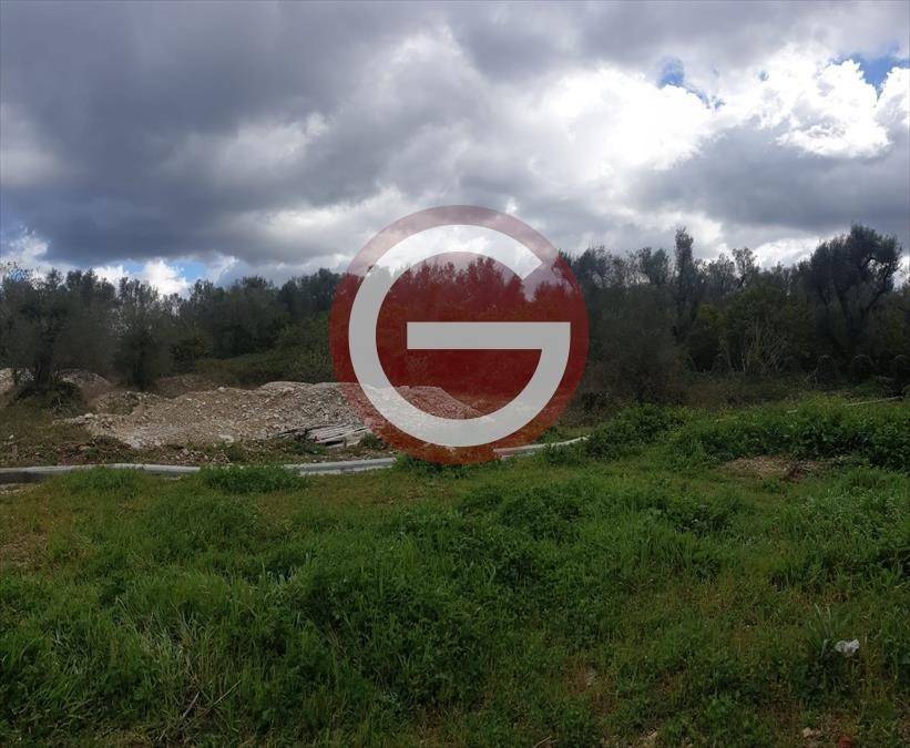negozio in vendita a Cittanova