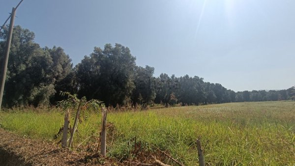 terreno edificabile in vendita a Cittanova